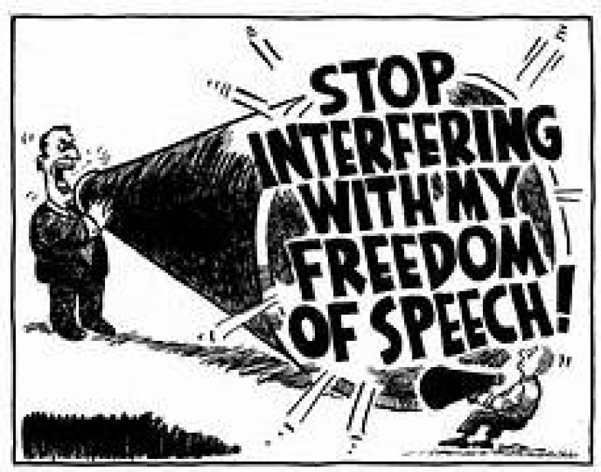 SPEAKING UP: A SATIRICAL EXAMINATION OF FREEDOM OF SPEECH AND EXPRESSION IN THE SAFFRON PARTY ERA