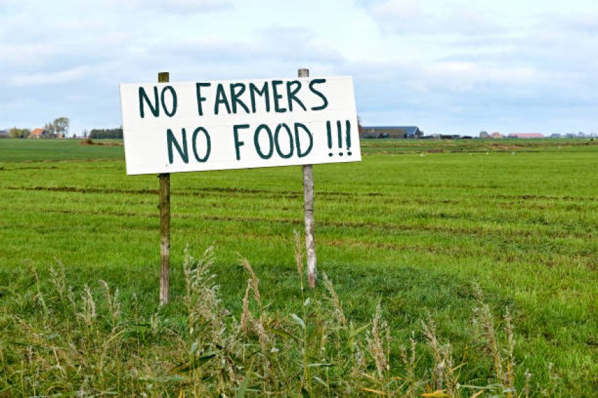 राहुल गांधी ने दी किसानों को एमएसपी पर कानूनी  गांरटी
