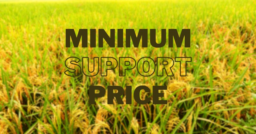 HARVESTING HOPE FOR FARMERS: DEMANDING PRICE GUARANTEES  NOT JUST A BUNCH OF PROMISES!